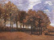Autumn Landscape (nn04) Vincent Van Gogh